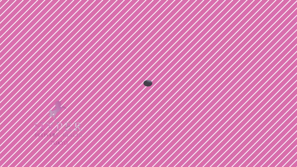 HYPER TOKYOに在籍する女の子のお仕事紹介動画