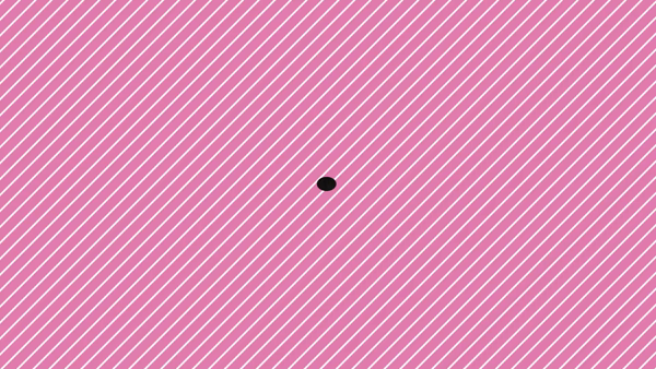 兵庫明石 ちゃんこに在籍する女の子のお仕事紹介動画