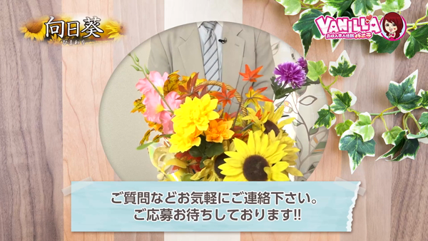 向日葵(ひまわり)のお仕事解説動画
