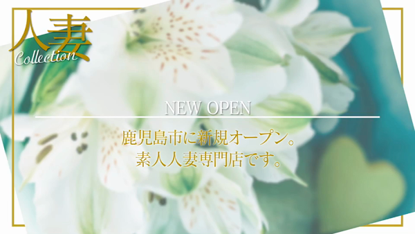 人妻コレクションのお仕事解説動画