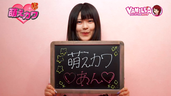 萌えカワのお仕事解説動画
