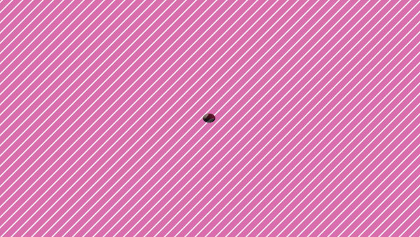 萌えカワに在籍する女の子のお仕事紹介動画