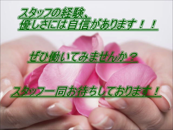 新宿プチドールのお仕事解説動画
