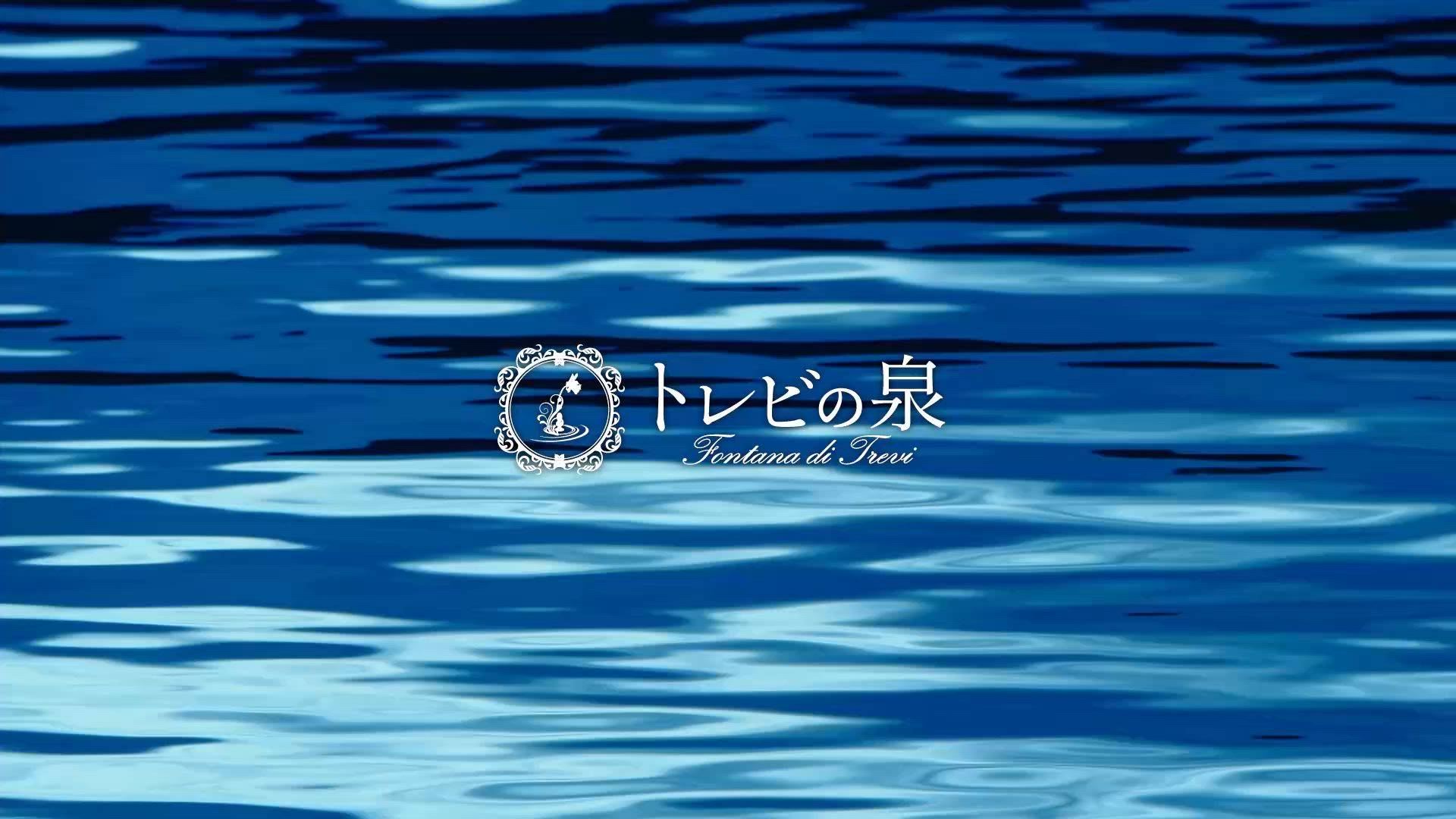トレビの泉のお仕事解説動画