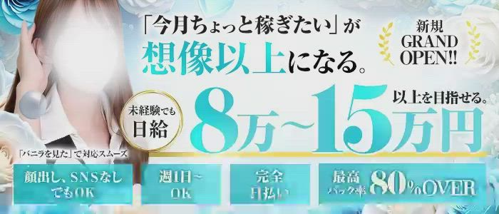 Premium ARROWSのお仕事解説動画