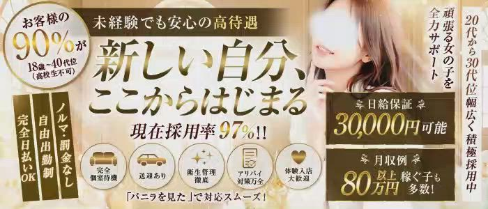 Lumielaのお仕事解説動画
