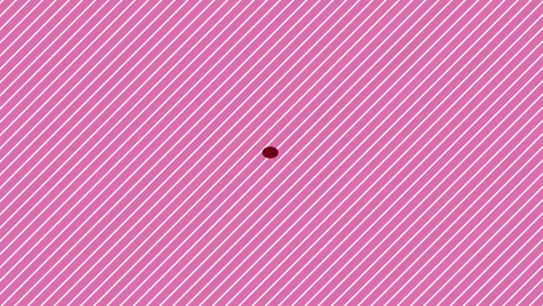 奥サマンサ（札幌ハレ系）に在籍する女の子のお仕事紹介動画