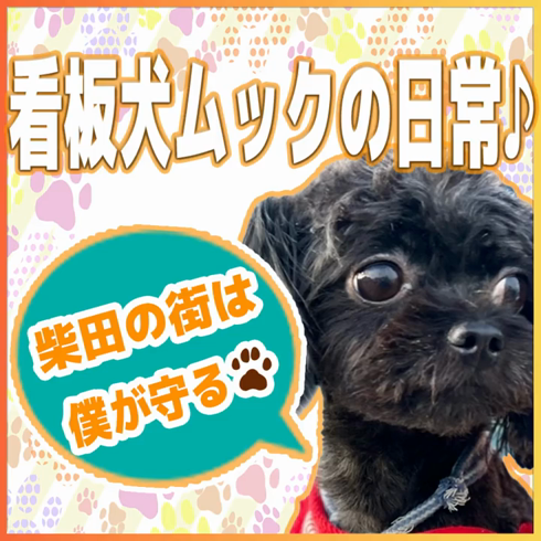 AGEHAのお仕事解説動画