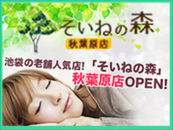 そいねの森 秋葉原店の求人動画