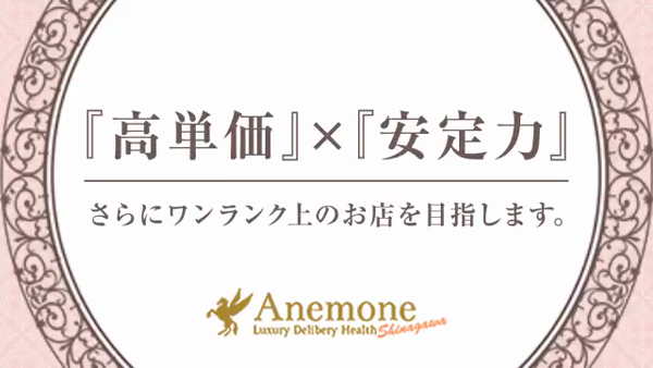 アネモネ Anemone 品川の求人動画
