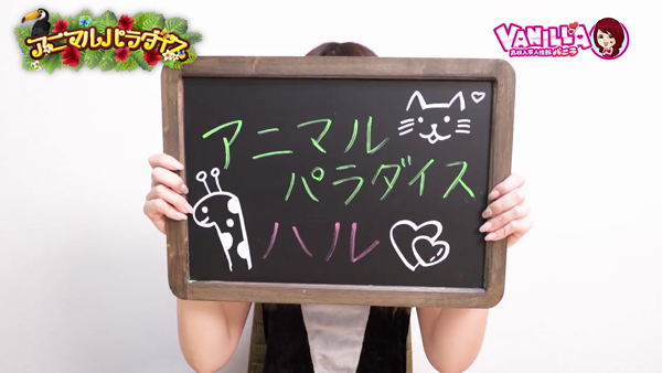 アニマルパラダイスのお仕事解説動画