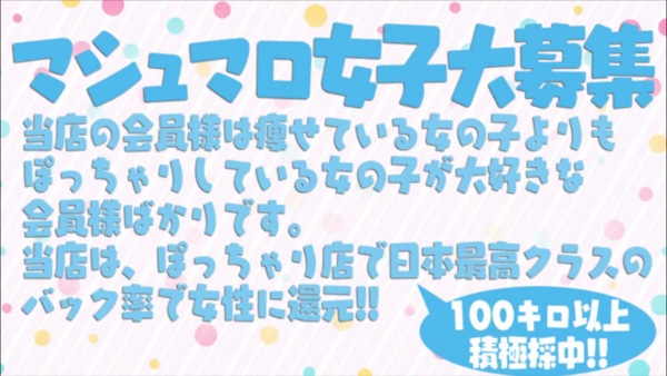 あっぱく体(ぽっちゃりは長所)の求人動画