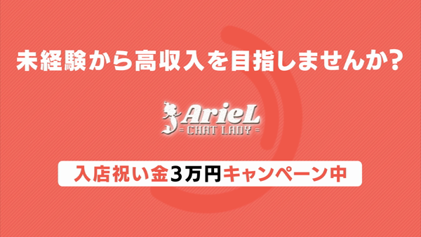 ArieLのお仕事解説動画