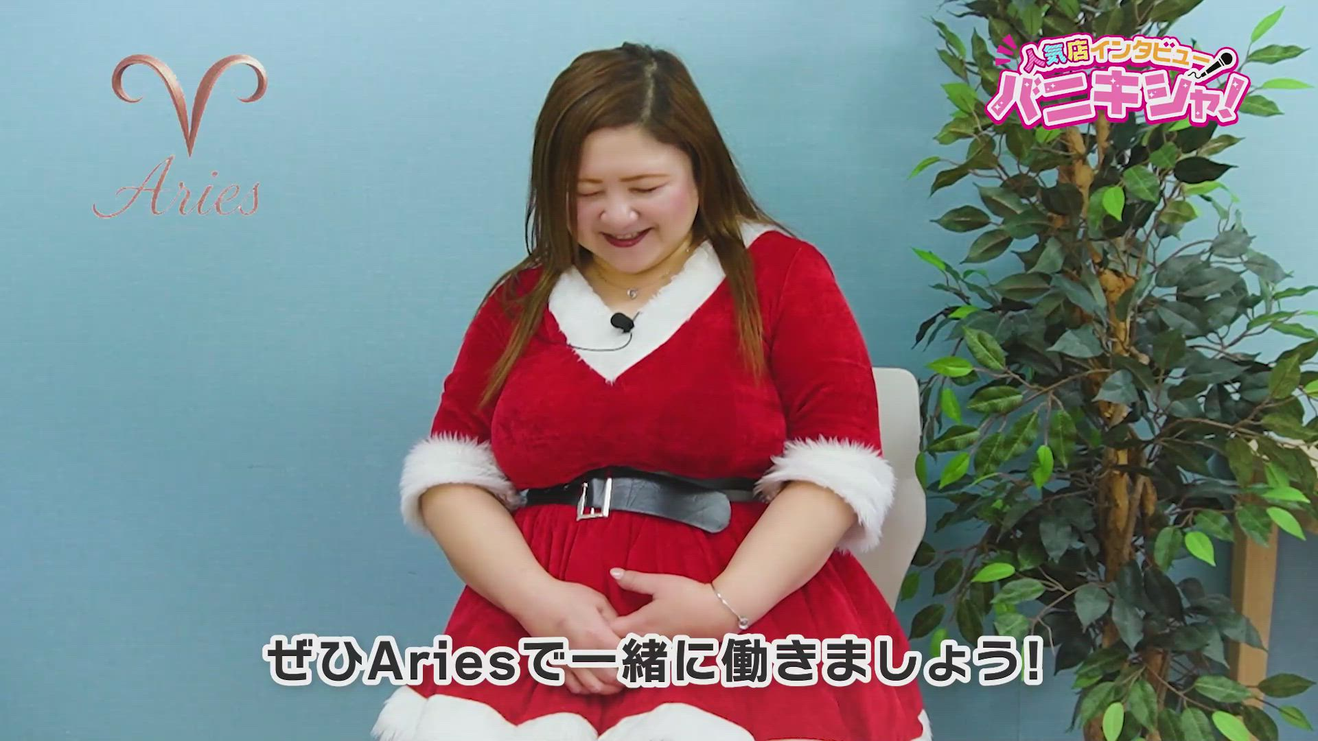 Ariesのお仕事解説動画
