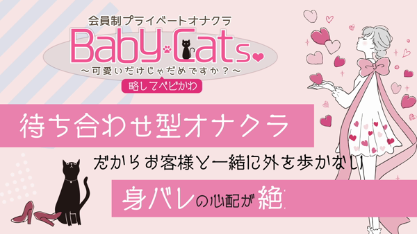 Baby Cats(ベイビーキャッツ)のお仕事解説動画