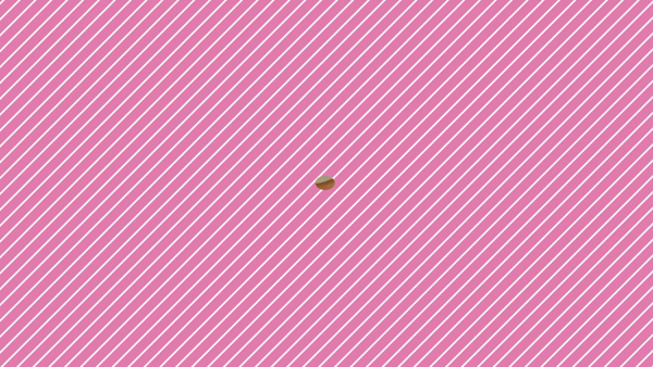BBWのスタッフによるお仕事紹介動画