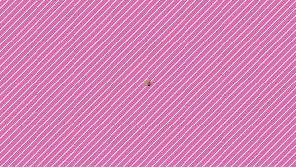 美獣に在籍する女の子のお仕事紹介動画