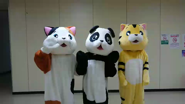札幌 美ママデリヘルの求人動画