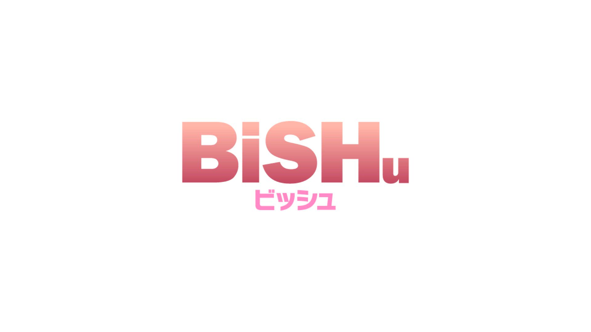 BiSHu（ビッシュ）のお仕事解説動画