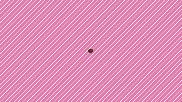 ときめき☆アイドル部 博多店に在籍する女の子のお仕事紹介動画