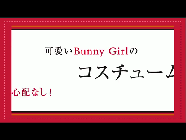 バニーコレクションの求人動画