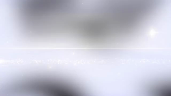 バニーコレクションの求人動画