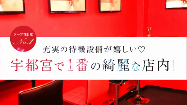 バニーコレクションの求人動画