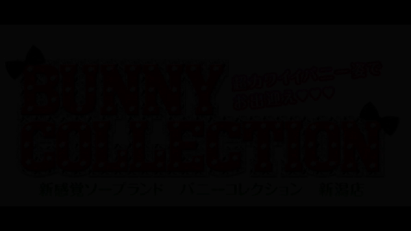 バニーコレクション新潟のお仕事解説動画