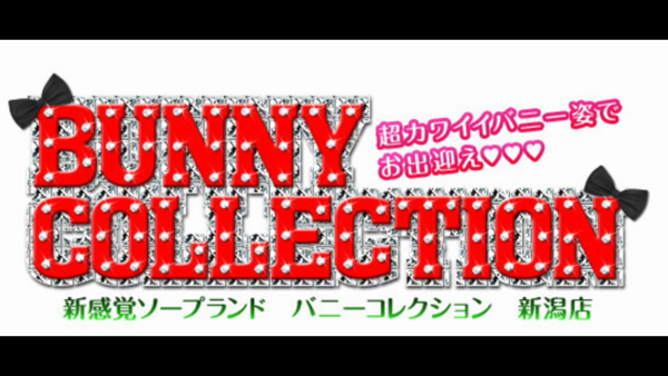 バニーコレクション新潟のお仕事解説動画