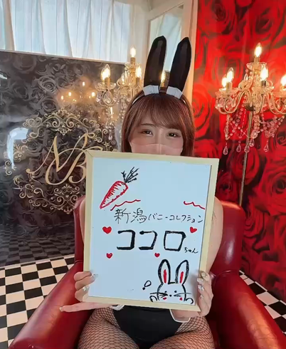 バニーコレクション新潟のお仕事解説動画