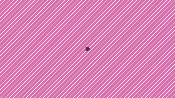 バタフライ立川に在籍する女の子のお仕事紹介動画