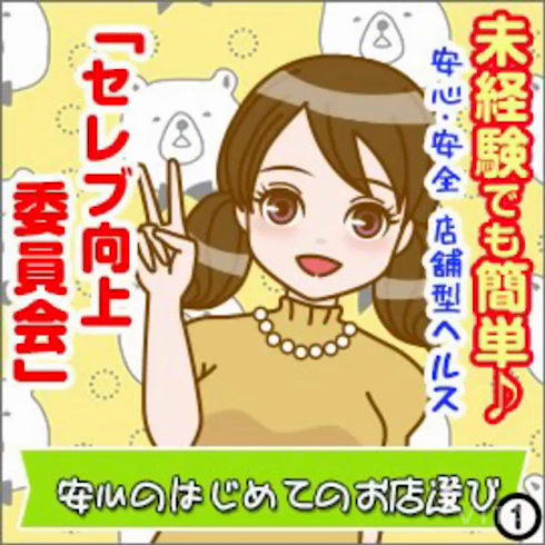 セレブ向上委員会のお仕事解説動画