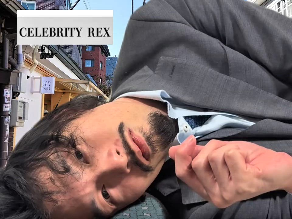 セレブ Rexのお仕事解説動画