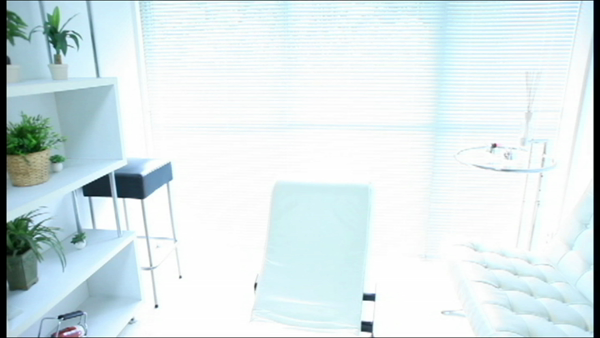 品川セレブリティのお仕事解説動画
