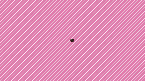 千葉松戸ちゃんこに在籍する女の子のお仕事紹介動画