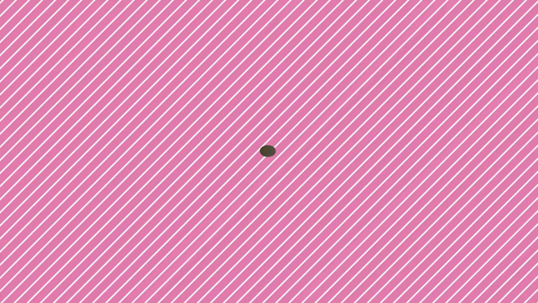 西東京市小平ちゃんこ(ちゃんこグループ)に在籍する女の子のお仕事紹介動画