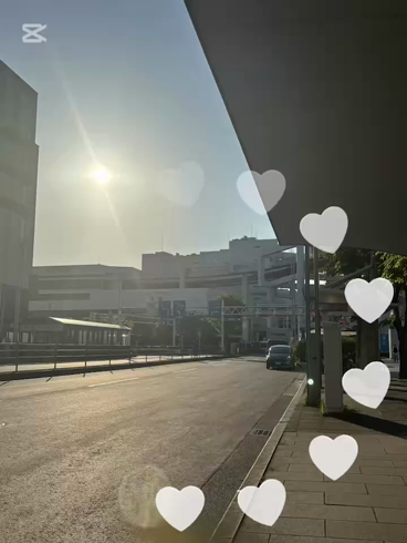 千葉人妻花壇（モアグループ）のお仕事解説動画