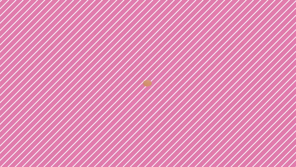 T-BACKS てぃ～ばっくす栄町店のお仕事解説動画