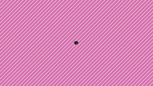 ハプニング痴漢電車or全裸入室に在籍する女の子のお仕事紹介動画