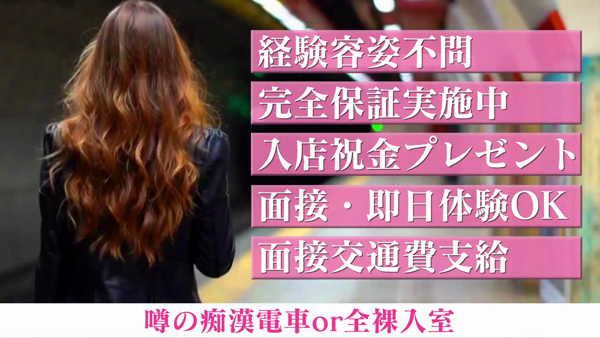 噂の痴漢電車のお仕事解説動画