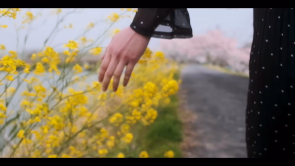 CHILLAXのお仕事解説動画