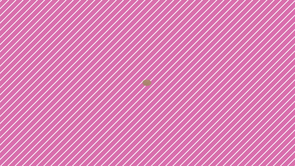 Chloe錦糸町店 S級素人清楚系に在籍する女の子のお仕事紹介動画