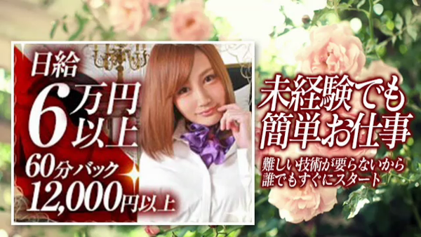 秘書コレクション宮崎の求人動画
