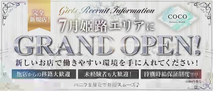 デリバリーヘルスCOCOのお仕事解説動画