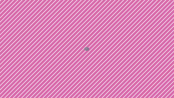 エピセレクションのお仕事解説動画