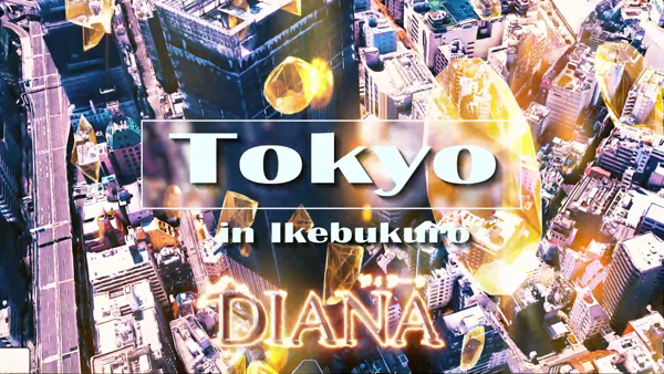 DIANAのお仕事解説動画