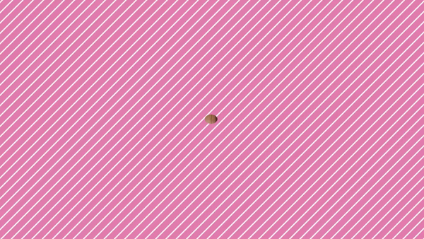 ZONEに在籍する女の子のお仕事紹介動画