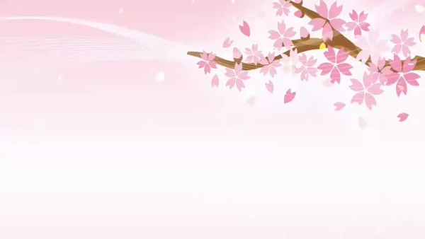 大垣羽島安八ちゃんこのお仕事解説動画