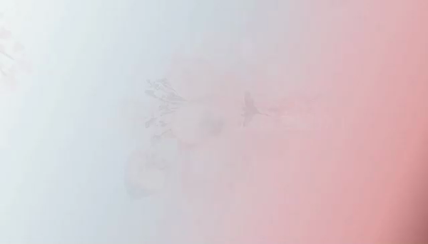 Kグループ(旧京都グループ)の求人動画