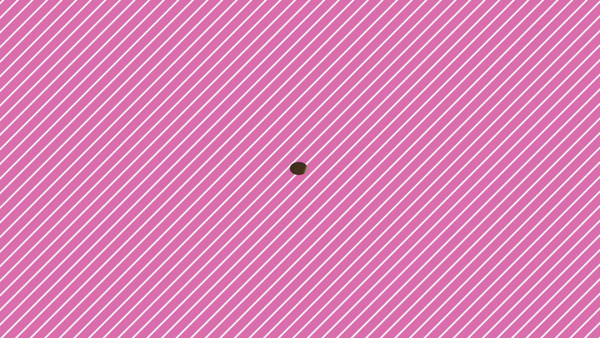 華椿（札幌YESグループ）に在籍する女の子のお仕事紹介動画